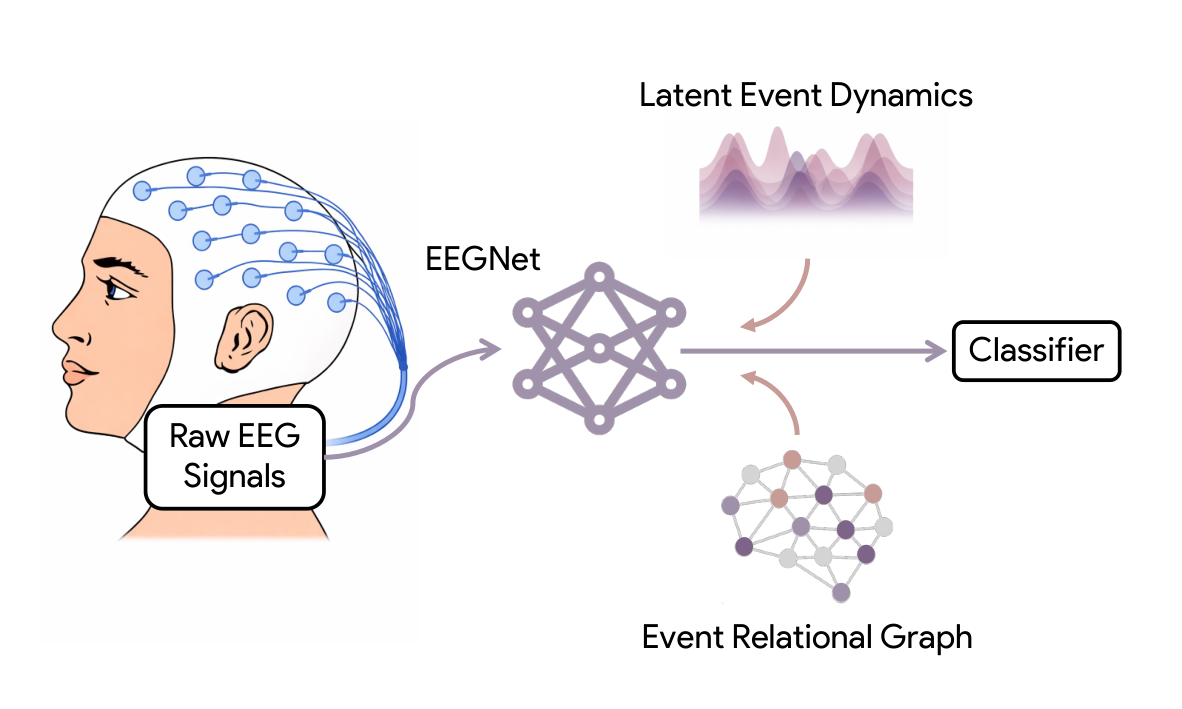 LERD framework connecting EEG signals, latent event dynamics, and an event relational graph.